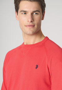 Maglia girocollo raglan in cotone