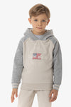 Felpa con cappuccio e bandiera americana U.S. Polo Assn.