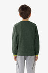 Felpa girocollo in cotone con logo e scritta USPA