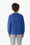 Felpa girocollo in cotone con logo e scritta USPA