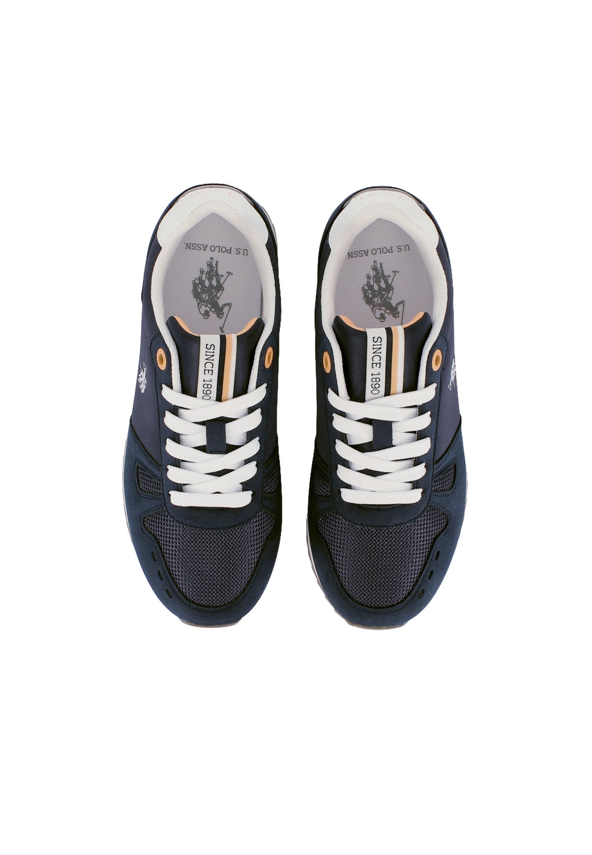 Sneaker Tyler da donna con logo e suola alta