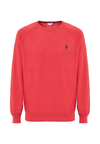 Maglia girocollo raglan in cotone